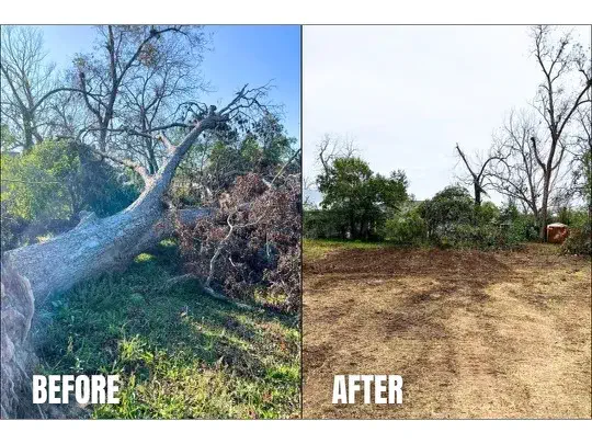 Debris Removal in Central Savannah River Area