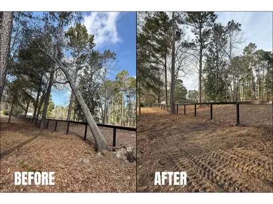Tree Removal in Central Savannah River Area