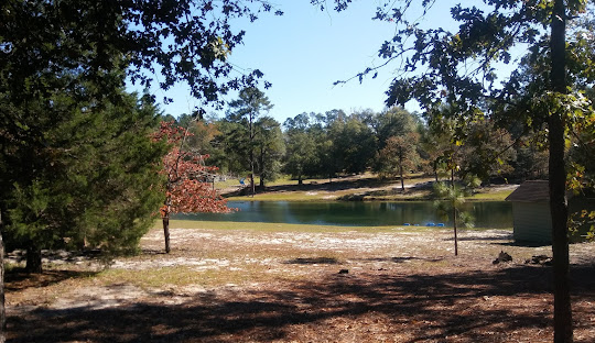 Tree Removal – Aiken County, SC