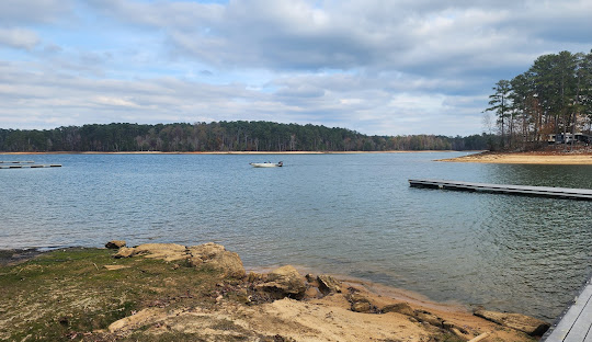 Tree Removal – Columbia County, GA