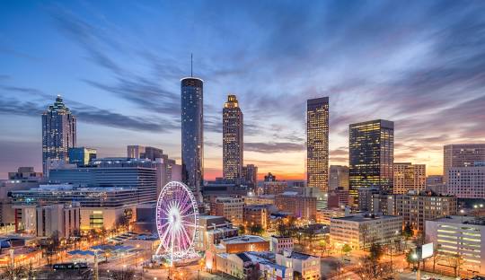 Tree Removal – Georgia, USA