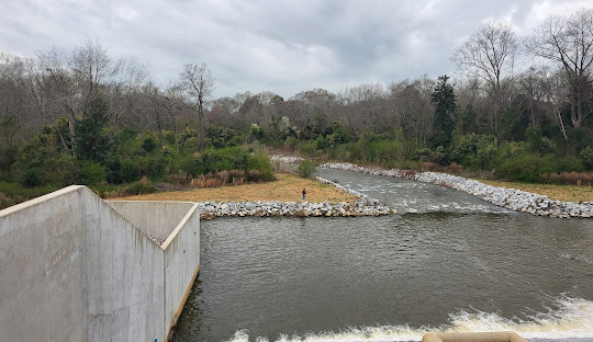 Tree Removal – Graniteville, SC