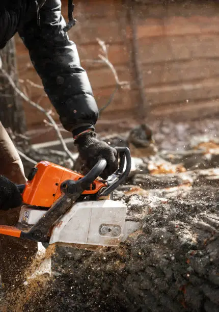 Skilled operator using stump grinder to remove deep stump below grade