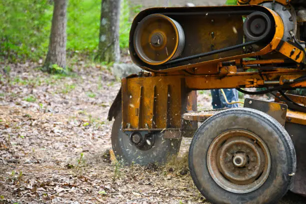 Experienced stump grinding crew removing stubborn stump with controlled precision