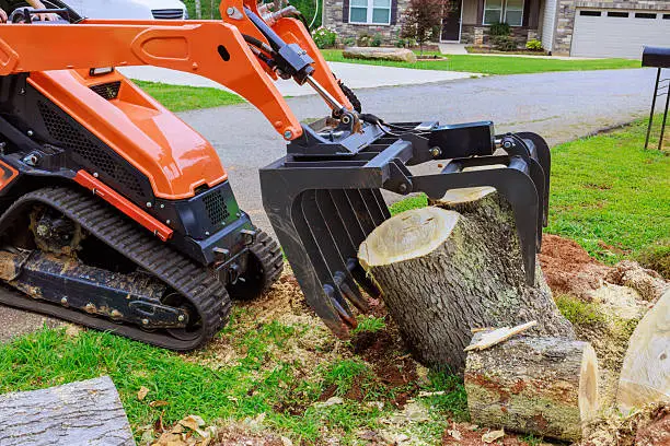 Operator using stump grinder carefully near roots and lawn edge with precision