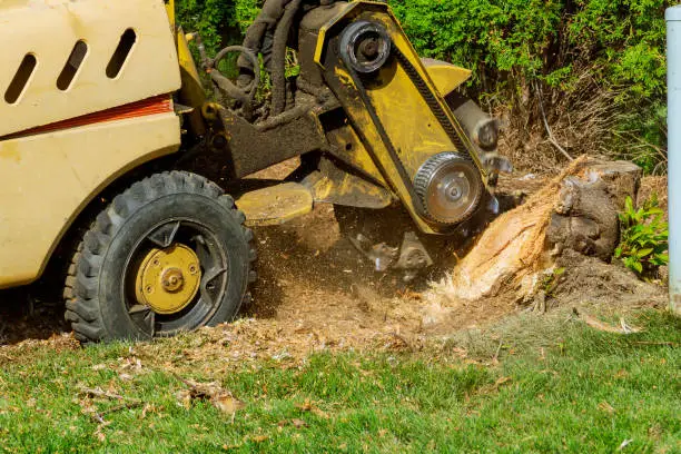 Stump grinder clearing front yard stump before fence installation at Johnston home