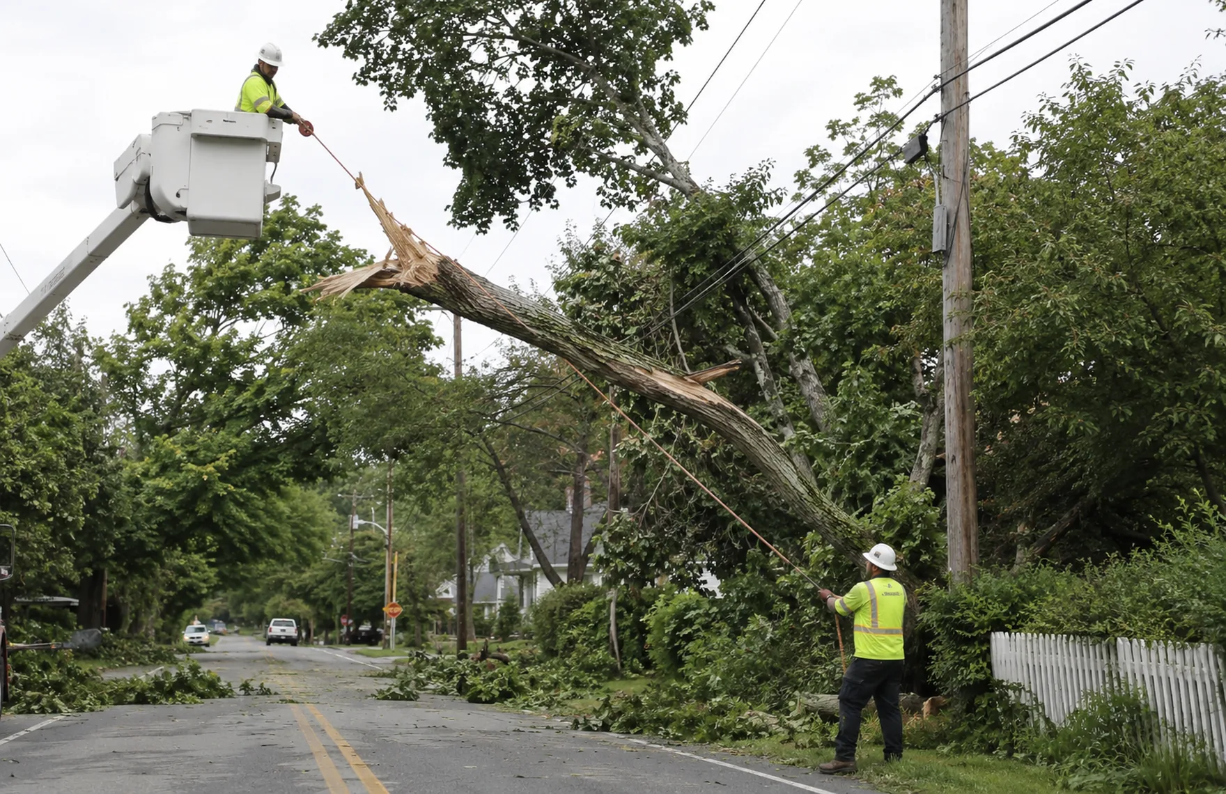 Emergency Tree Removal in Johnston - SC crew cutting storm-damaged limbs above a blocked driveway