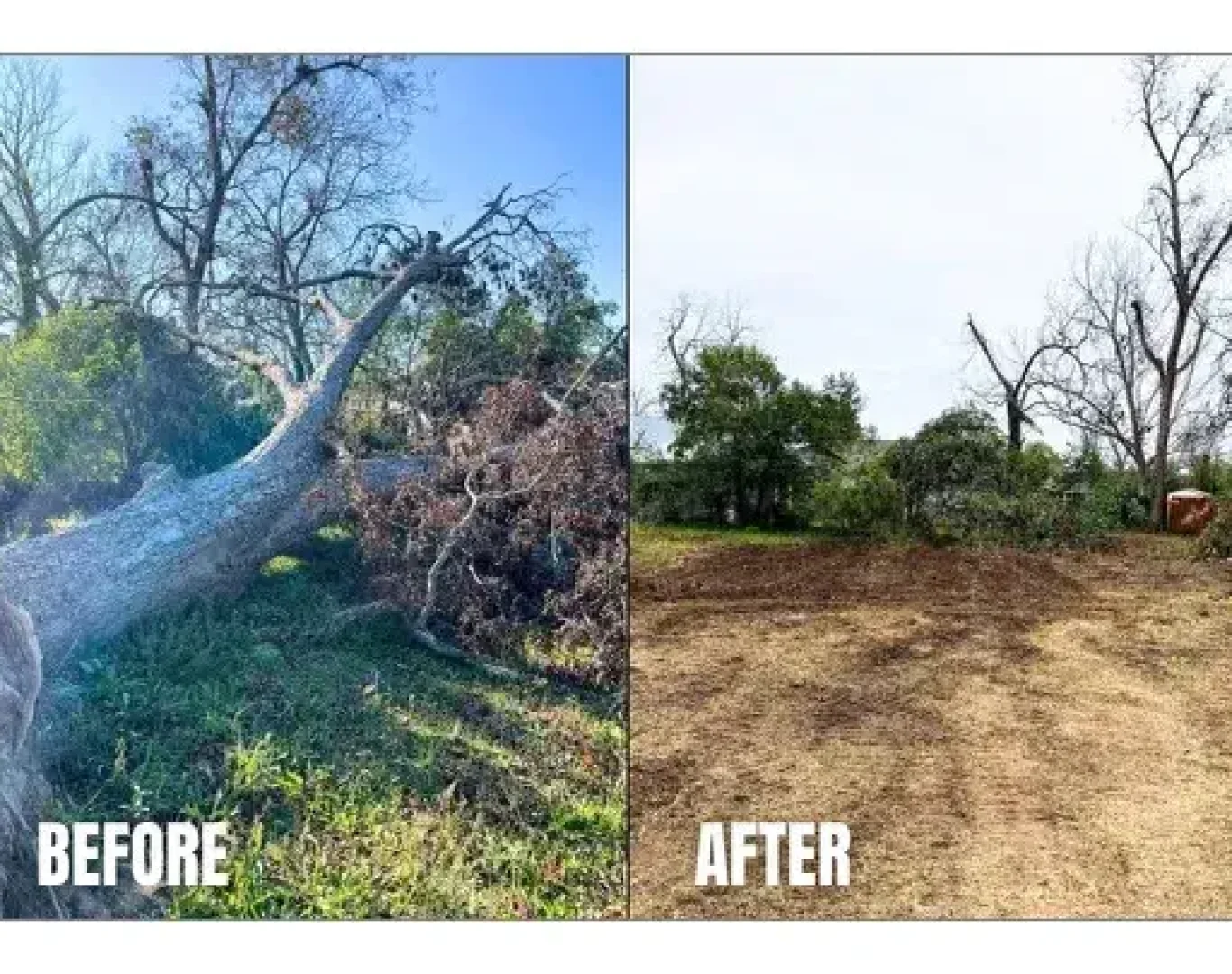 Debris Removal in Central Savannah River Area